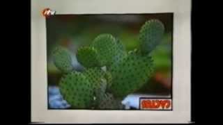 Zzzap - Question Mark