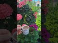 #cleaning #temizlik #vlog #yemektarifleri #food #günlükvlog #pratiktarifler #momlife #funny #fyp