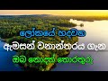 Amazon forest sinhala | About Amazon jungle Sinhala | ඇමසන් වනාන්තරයේ ඔබ නොදත් තොරතුරු | ඇමසන්