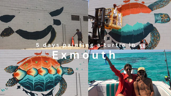 Exmouth Turtle Mural - Owlet Art... Cara Sanders