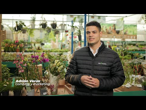 Progando boosts its digital transformation with Dynamics 365 Business Central SaaS - video from Arbentia