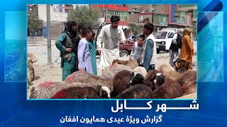 #HamayonAfghan Eid Adha 1400 Special Report / گزارش ویژۀ عیدی همایون افغان - روز اول