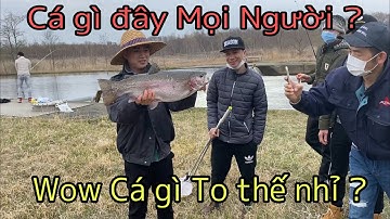 Hokkaido - Nhật Bản . Ra Sông ở Nhật câu Cá và cái kết ấm lòng - Cá Sông to quá