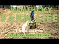 Triplets and twins: the start of goat kidding season