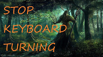 What Is Keyboard Turning and Why Not To Do This : World Of Warcraft!