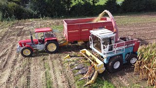 Weiteman chopping corn