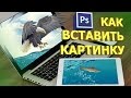 Как вставить картинку в картинку в фотошопе