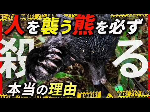 【人を襲ったクマ】必ず、倒さなければイケナイ理由