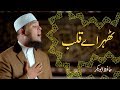 Thehar Ay Qalab Naat Official Video Hafiz Abu Bakar Thehar Ay Qalab Naat Official Video Hafiz Abu Bakar
