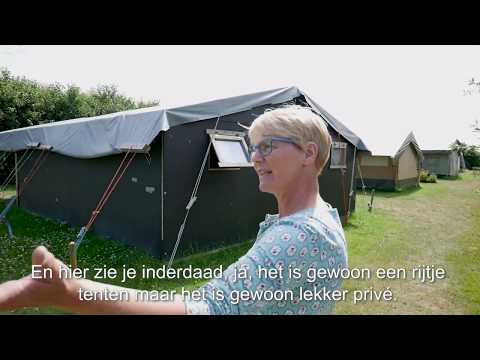 ZoTexels #1 Ingrid van camping Anemoone
