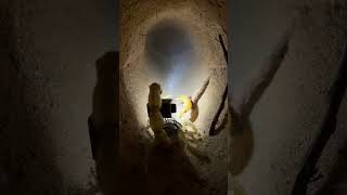 Micro Back-Mounted Camera POV: Deathstalker Scorpion Underground Hunt