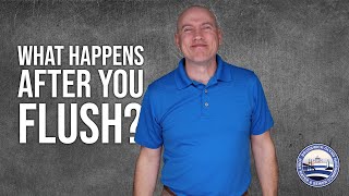 What happens after you flush?