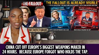 China cut off Europe's biggest weapons maker in 24 hours.  because Europe forgot who holds the tap. 