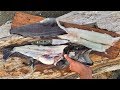 Finally!!!! Lingcod Catch and Cook!!  DANGEROUS Fishing Trip