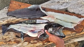 finally lingcod catch and cook dangerous fishing trip