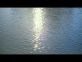 題名のない映像日記