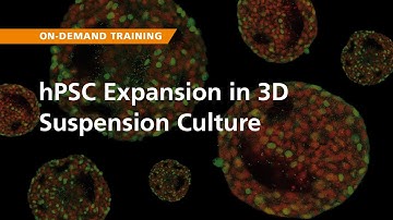 On-Demand Training: hPSC Expansion in 3D Suspension Culture