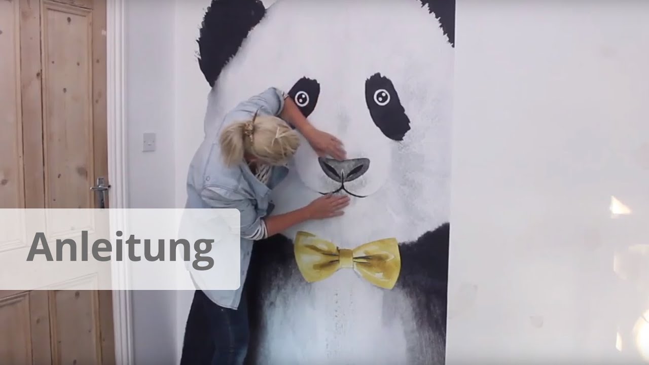Vliestapete Klebeanleitung Fototapeten Richtig Tapezieren Wall Art De