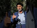 باغبان چین کلاغ ملاقات با مردی که 1000 درخت کاشت پانوراما 
