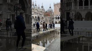 Ever Wonder What Venice Looks Like Flooded? screenshot 1