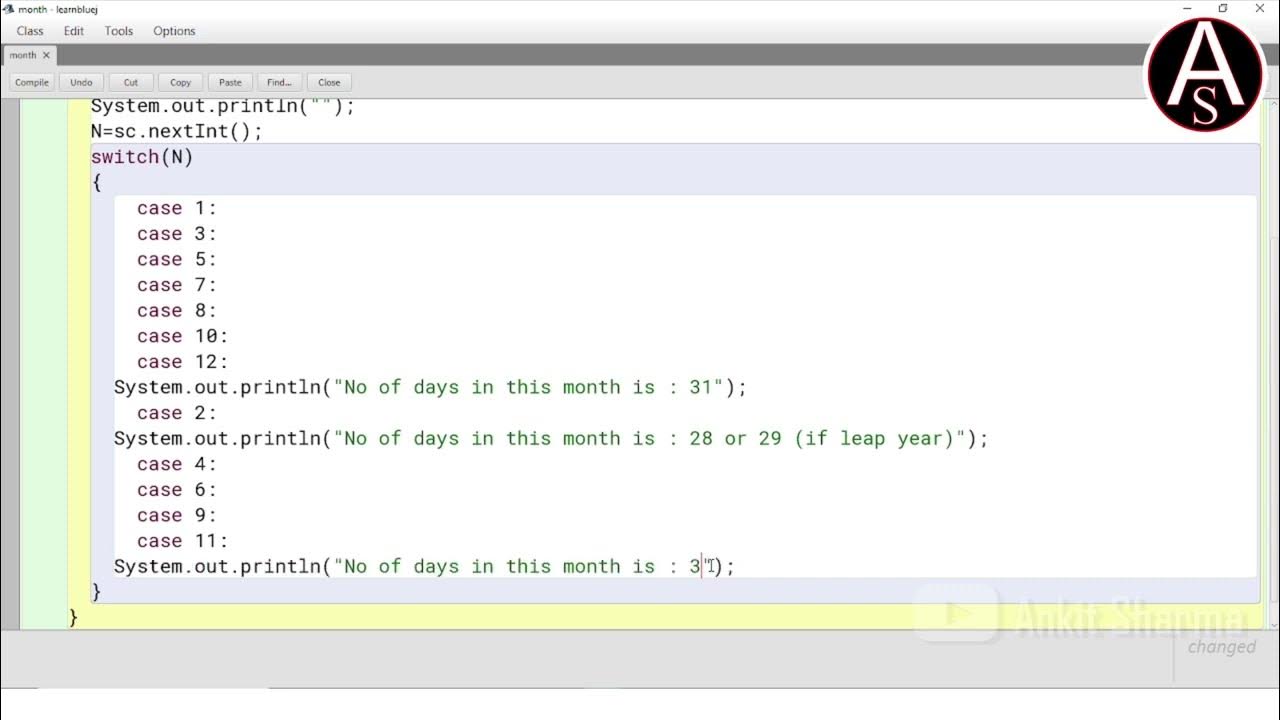 Conditional Statement - SWITCH CASE 2 - Computer Applications - Java ...