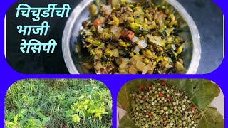 आरगयदय रनभज चचरड भज रसप फकत जगलत आढळन यणर दरमळ भज चचरड Healthy.