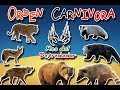Orden Carnivora |Los 7 Mamiferos Carnivoros| (Animales del Mundo) |Mes del Depredador|