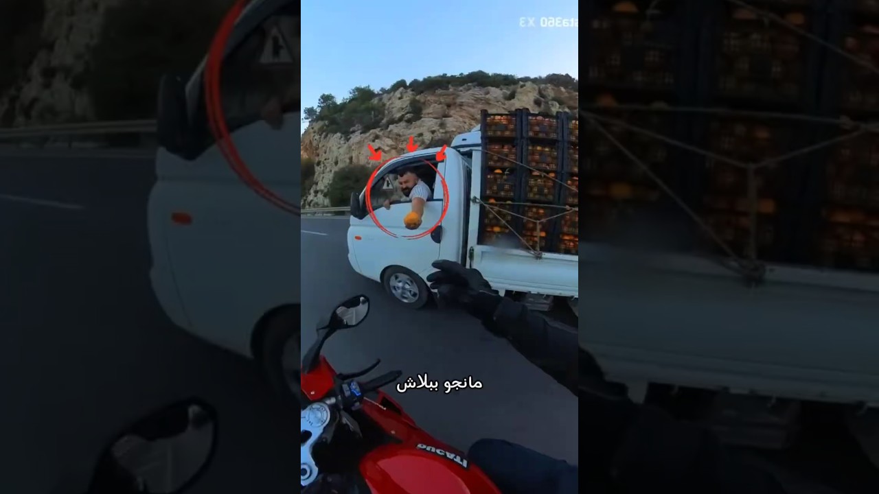 ندم سارق المانجو 🥭🏍️