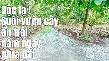 Cô chú tiến lớn tuổi rồi không còn khả năng làm vườn nữa nên muốn bán đi mãnh đất vườn tâm huyêt