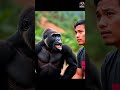 “Gorilla Steals My Glasses! Hilarity Ensues 😂🐵”