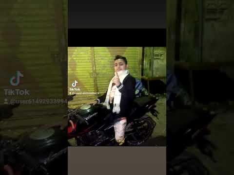 ٢٠ أكتوبر ٢٠٢٣