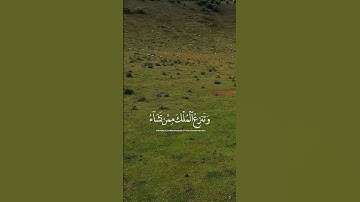 ارح قلبك... تلاوة خاشعة قرآن كريم #quran #quotes