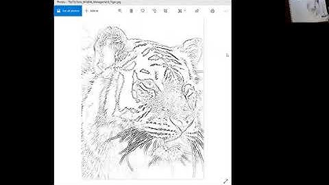 How to Make Your Own Line Drawing