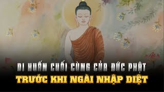 DI HUẤN CUỐI CÙNG của ĐỨC PHẬT trước khi NGÀI NHẬP DIỆT  Sự Tồn Vong của Đạo Phật
