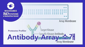 R&D Systems®: Proteome Profiler Antibody Array 소개 (공식대리점: 웅비메디텍)
