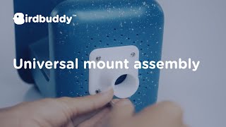 How-To Universal Pole Mount Bird Buddy Tutorial