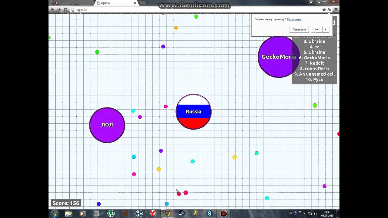 AGAR #1 Быстрая серия