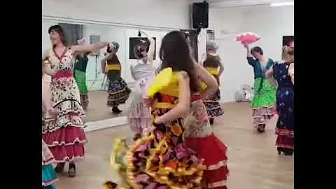 video 1551616237