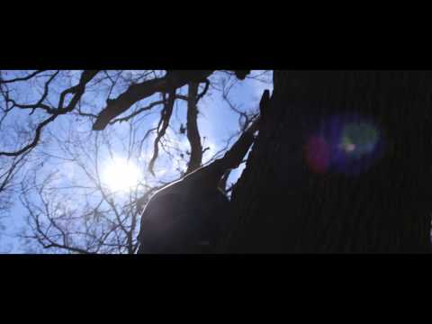 Sing Loud by Alpha Rev // Official Music Video // Bloom (2013)