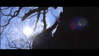 Sing Loud by Alpha Rev // Official Music Video // Bloom (2013)