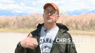 Fish App screenshot 4