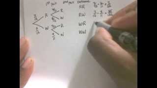 MATH 2123 Sample Writing Assignment 1