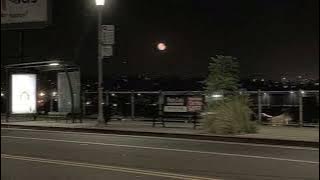 Download lagu [slowed   reverb] GIMS & MORAD - SEYA 🎧