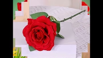 سورة يوسف الآية 99 فلما دخلوا على يوسف اوى اليه ابويه وقال ادخلوا مصر ان شاء الله امنين🕊🌴🌿🌿
