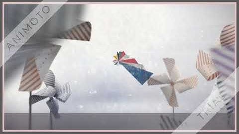 Animoto Web 2.0 Tool Video- ECP Memories  360p