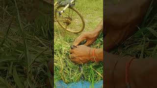 The Barn Is My Office, And The Fields Are My World.