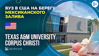 Как поступить в университет США? Учеба в США в Texas A&M University-Corpus Christi / ВУЗ в Америке