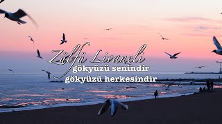 Gökyüzü Seni̇ndi̇r, Herkesi̇ndi̇r Zülfü Li̇vaneli̇