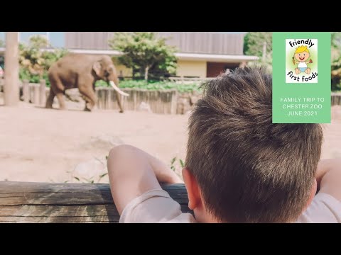 Family day out at Chester Zoo June 2021