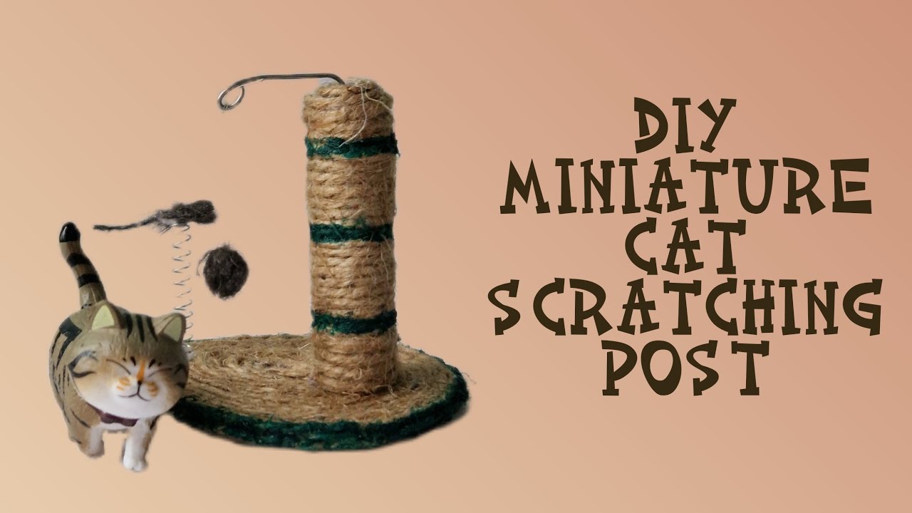 DIY Miniature Cat Scratching Post YouTube